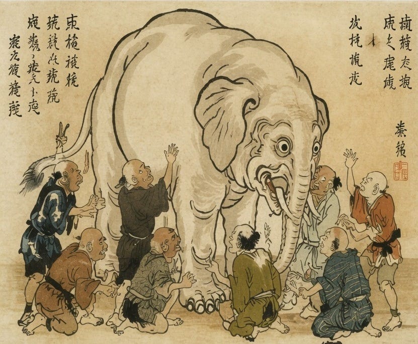 Beyond the Elephant: On Manifolds, Projections, and the Hidden Assumptions of Neural Geometry