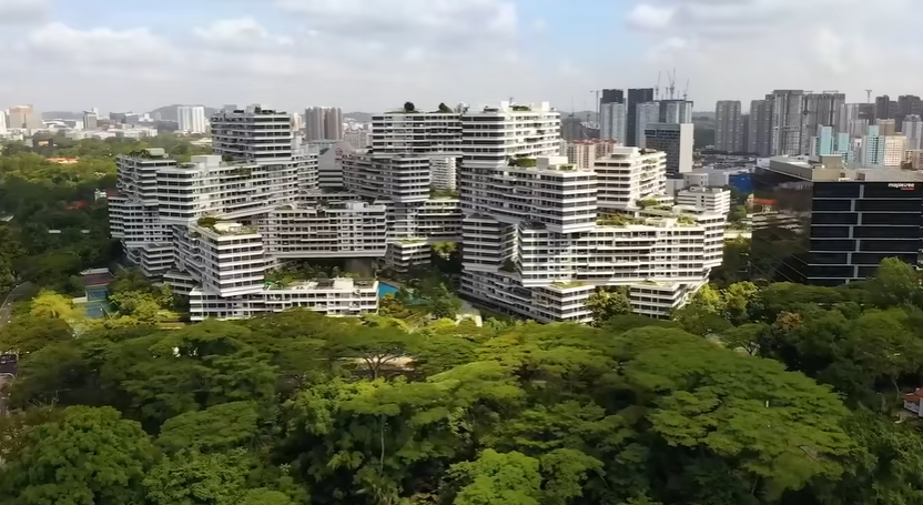 Tree Planting Day In Singapore