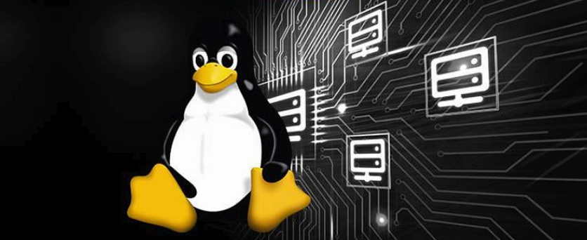 Week 4 | Cloud Engineer Academy | Linux and Bash