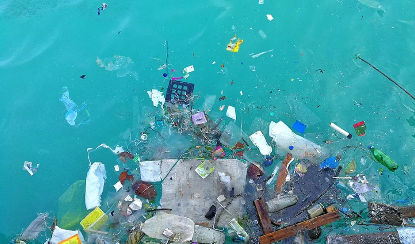 An AI Software Able To Detect and Count Plastic Waste in the Ocean