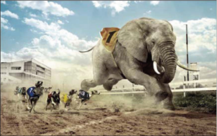 Elephants racing against greyhounds — Source: ING