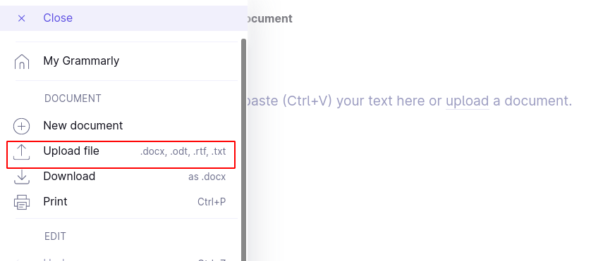 Grammarly file upload option