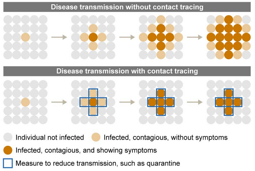 Diagram showing the impact of contact tracing on disease transmission