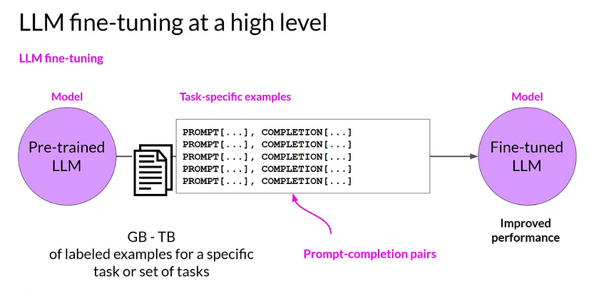 Introduction to Large Language Model (LLM) Fine-Tuning