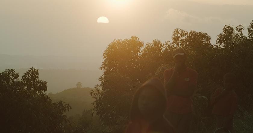 One of the most biodiverse forests in the world is under attack from illegal growers who are burning enormous plots of land t