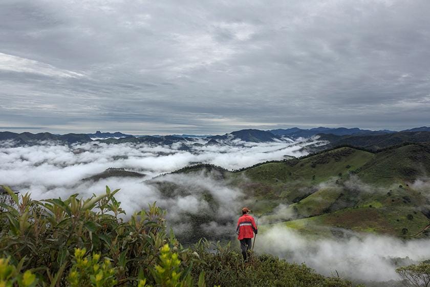 The Atlantic Forest, known locally as Mata Atlânica, is Brazil’s richest and most threatened forest land. (Photo: Renato Stoc