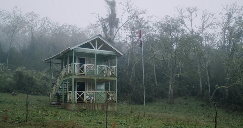 One of the most biodiverse forests in the world is under attack from illegal growers who are burning enormous plots of land t