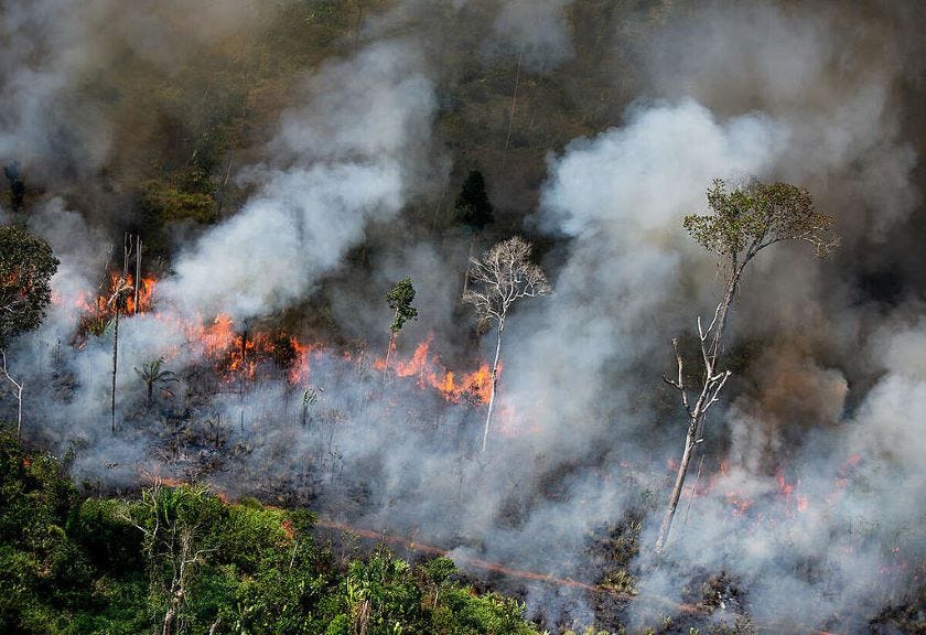 Konversi Lahan Gambut dan Kaitannya dengan Kebakaran Hutan