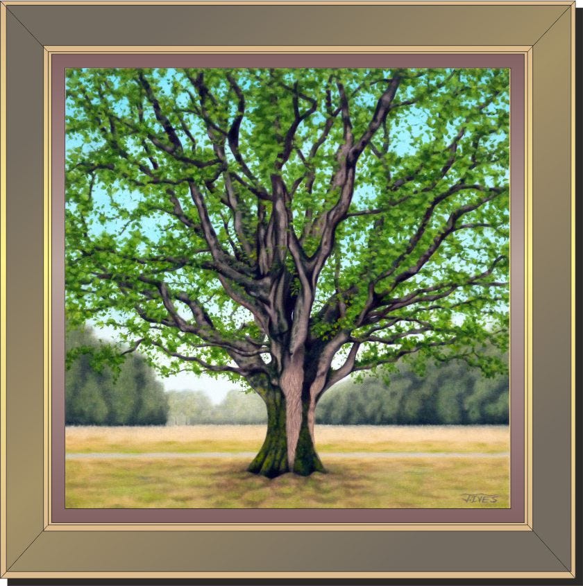 Oil painting by John Ives of Lalage’s 175-year-old oak tree. Tree is centre-stage, filling much of the canvas.