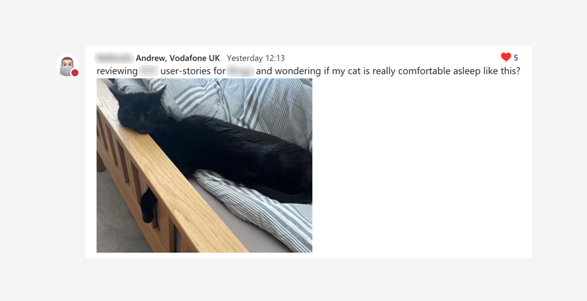 A chat message, with a sleeping cat on a bed