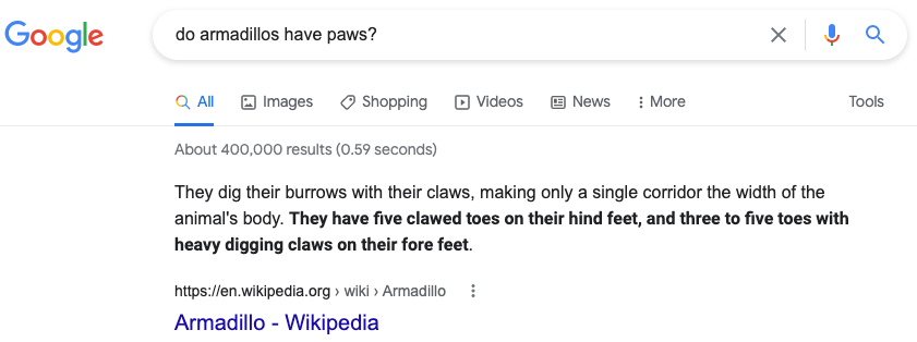 Screenshot of a Google search bar that has “Do armadillos have paws” typed into the search-bar The answer confirms that armadillos have claws.