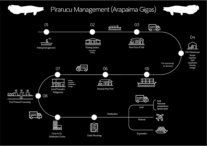 We mapped everything from fishing to the final consumer with the aim of understanding the journey