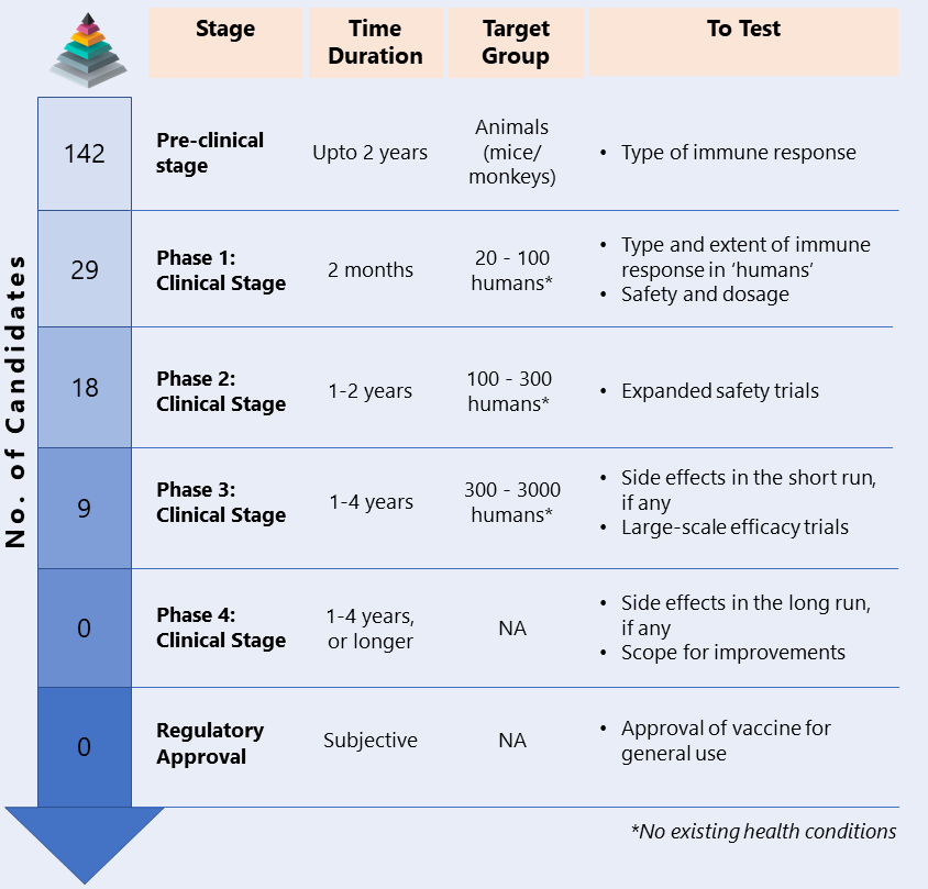 Stages of vaccine development
