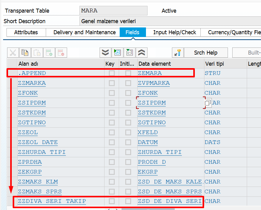 ZZDIVA_SERI_TAKIP (Append Structure)