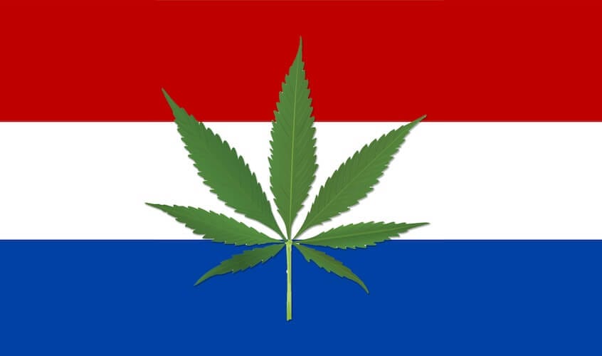 Netherlands flag with a cannabis leaf on top.