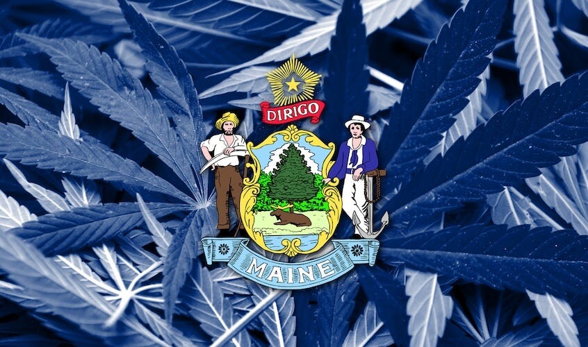 Maine State Flag on cannabis background