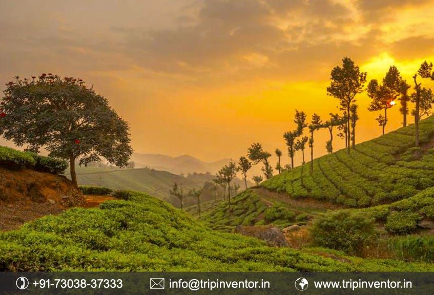 9 địa điểm du lịch hàng đầu ở Kerala - Trip Inventor