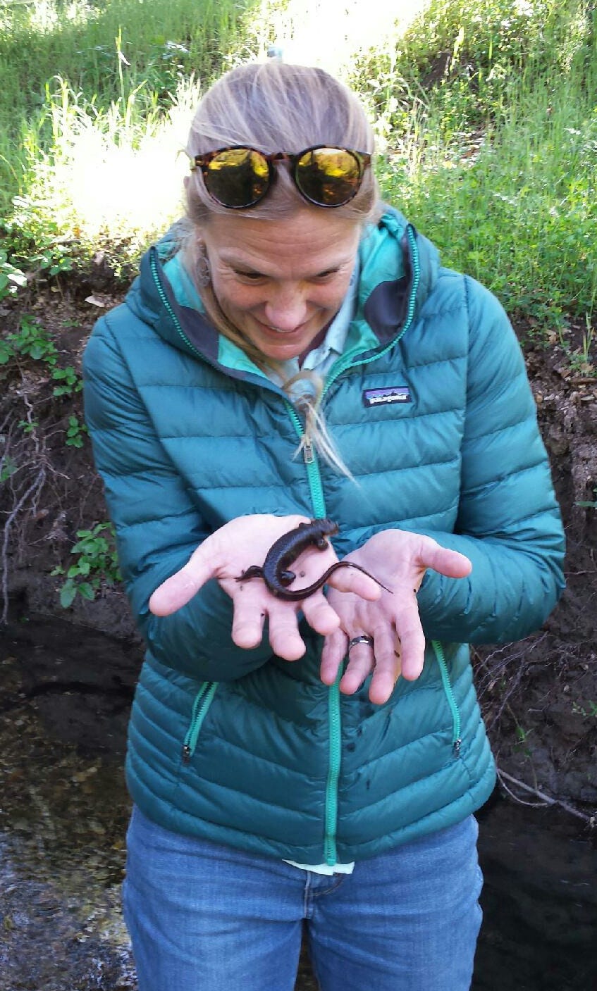 Cat Darst, FWS Scholar and Assistant Field Supervisor for Listing and Recovery, holding a California newt during surveys in SanLuis Obispo County. Photo Credit: Eric Morrissette