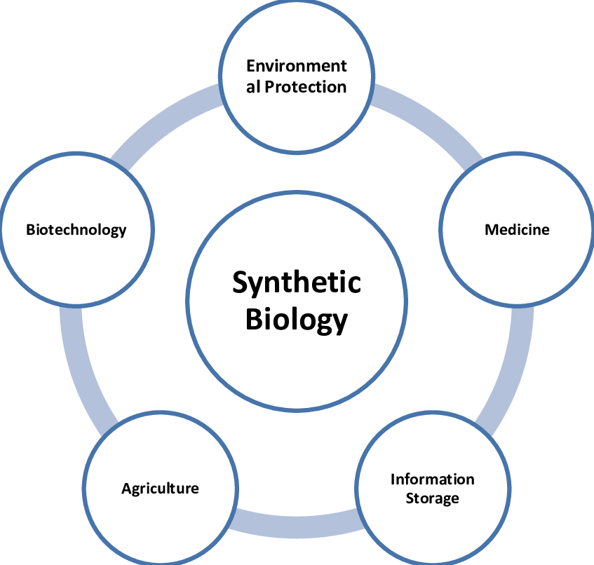 Key Applications Of Synthetic Biotechnology