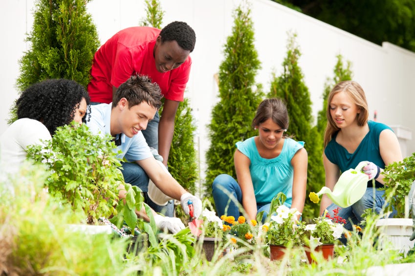 garden therapy has also been seen to help with arthritis depression anxiety relief and stress management as well it is a good form of both moderate and - Garden Therapy garden therapy has also been seen to help with arthritis depression anxiety relief and stress management as well it is a good form of both moderate and - Garden Therapy
