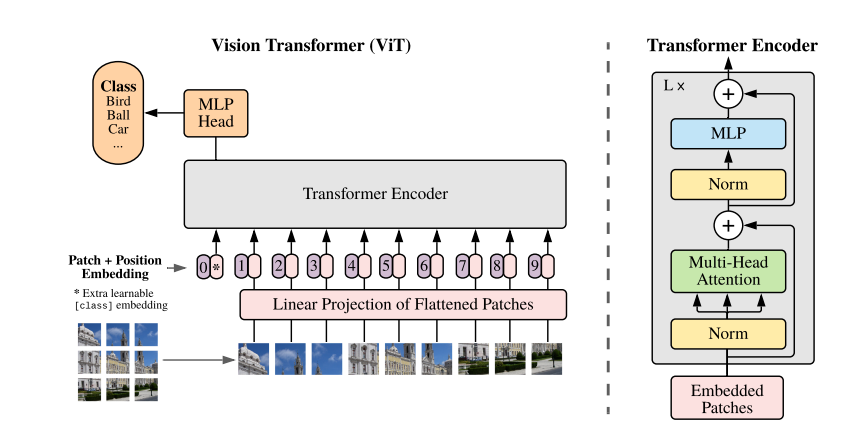 “Building Vision Transformers from Scratch: A Comprehensive Guide”