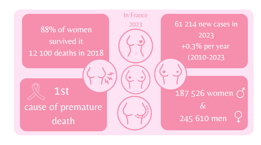 An infographic with a pale pink background, made up of 4 squares with descriptions and data on breast cancer in France 2023. 88% of women survive breast cancer 12100 died in 2018, breast cancer is the leading cause of premature death. 61214 new cases in 2023. Cancer cases, 187,526 are women and 245,610 are men.
