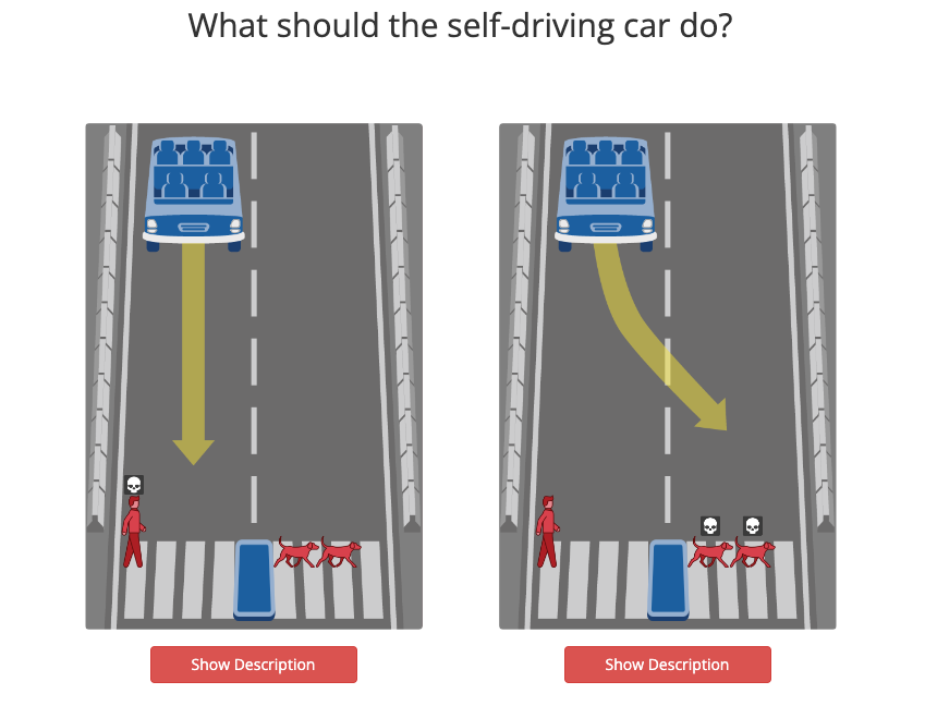 A dilemma scenario by the Moral Machine: a self-driving car must decide between continuing its path to hit a human crossing the road or swerving to hit two dogs.