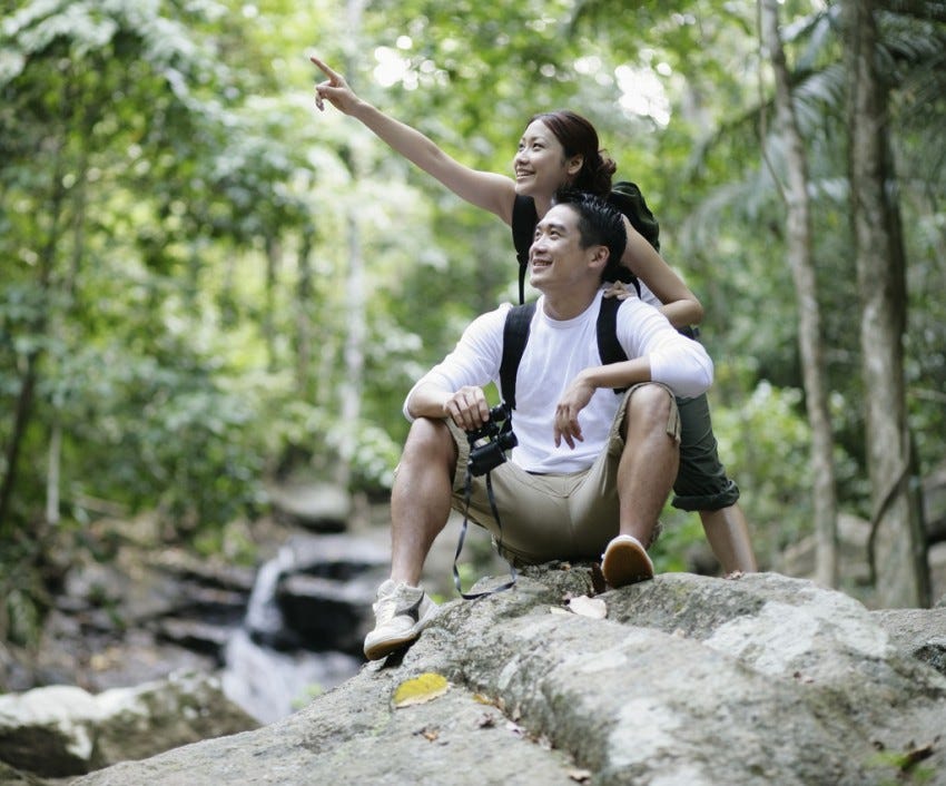 hiking in the forest