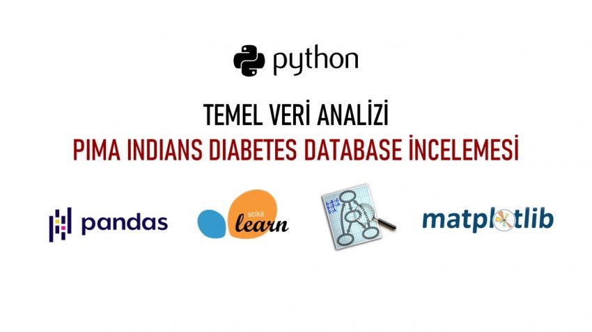 Python ile Temel Veri Analizi