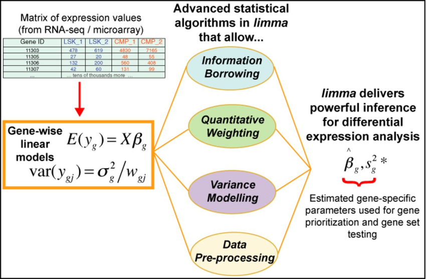 Graphical Overview of Limma Analysis