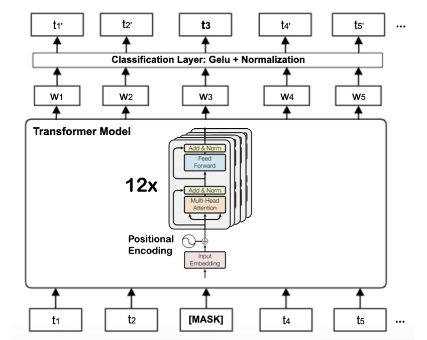 DistilBERT for Multiclass Text Classification Using Transformers