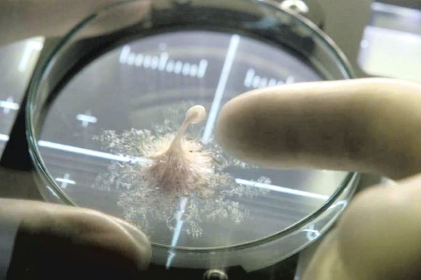 Why touching an alien could be deadly Why touching an alien could be deadly