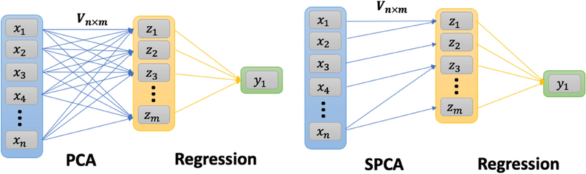 Unveiling Clarity in Complexity: Enhancing Interpretability through Sparse Principal Component…