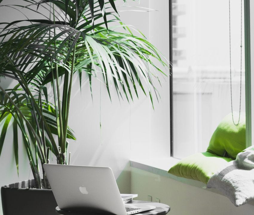 apple laptop sitting on stool next to a green palm tree. Window in background with green pillows.