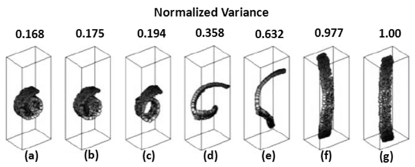 Unfolding Complexity: Harnessing Maximum Variance Unfolding for Enhanced Data Insight