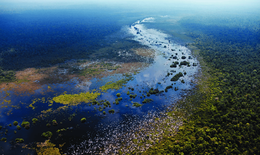 A bird’s eye view of a tropical peatland. Source: Fatoyinho, Lola E (2017). “Ecology: Vast Peatlands Found in Congo Basin.”