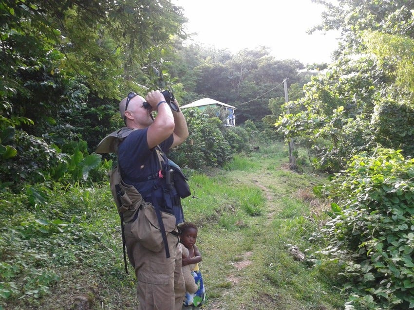 Dr. Rivera-Milán conducting survey of Grenada Dove (Leptotila wellsi).