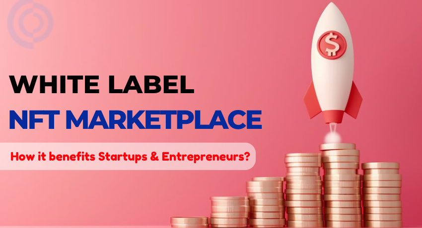 White Label NFT Marketplace Solution for Startups & Entrepreneurs.