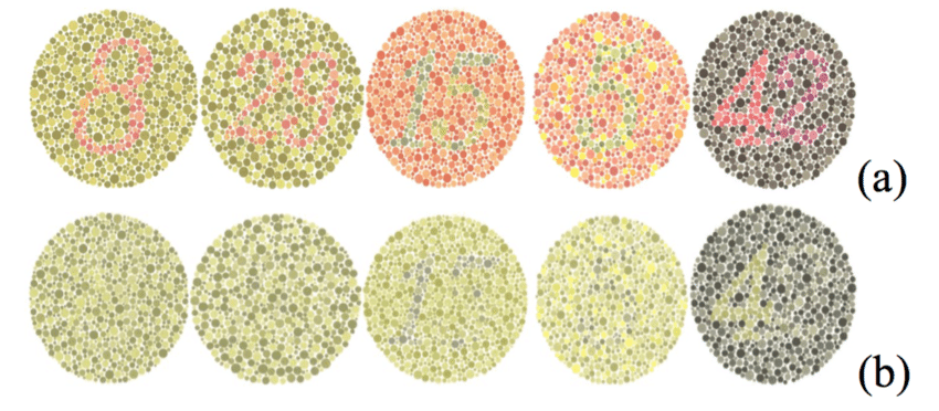 The famous Ishihara test for colour blindness re-adapted from a recent study of Oliveira et al. (2015)