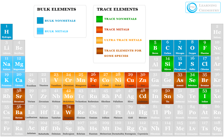 Essential Elements for Human Body