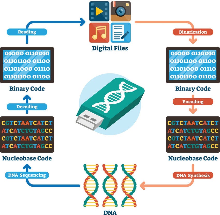 Visual clear image to understand DNA data storage and how it can be converted from or to computer data (binary)