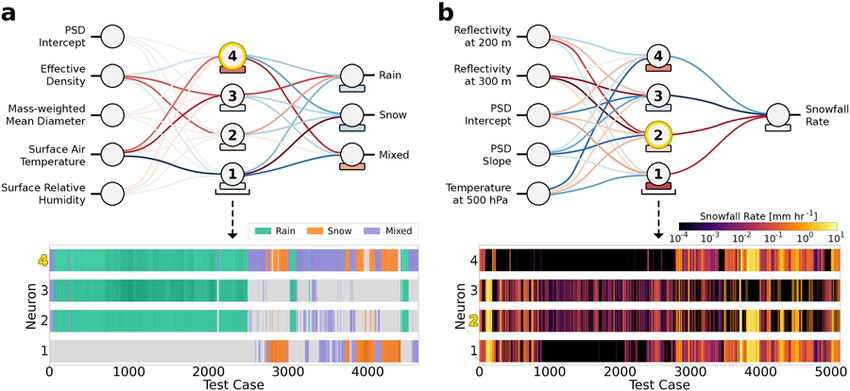 How polysemantic nature of neural networks hinders our understanding of them