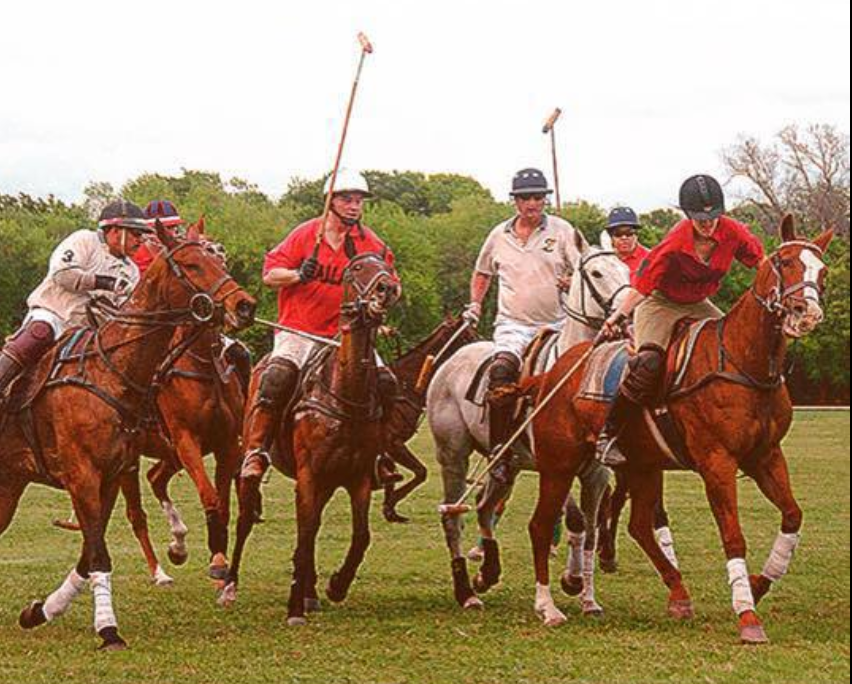 learn to play polo near me