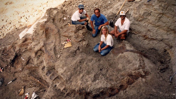 Dinosaur 13 dig site