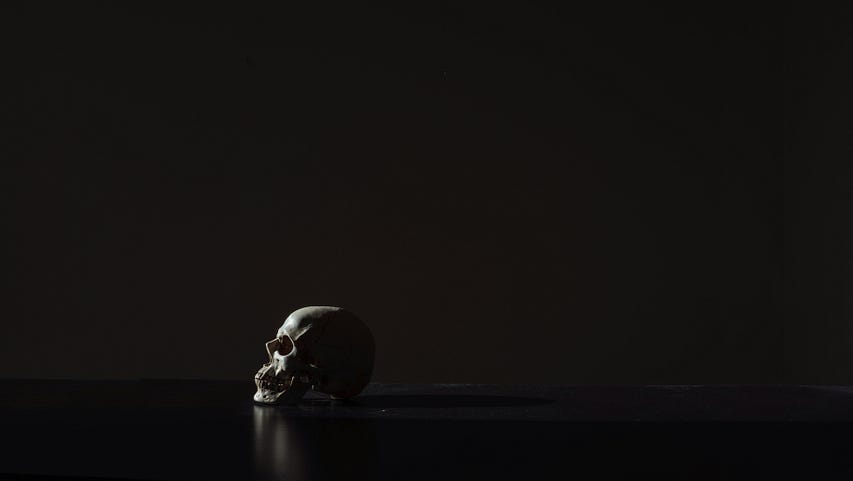 a skull with light hitting it, representing darkness in life