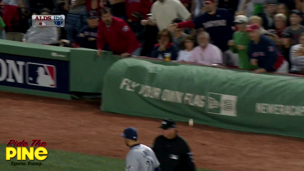 Red Sox fan takes baseball to the face