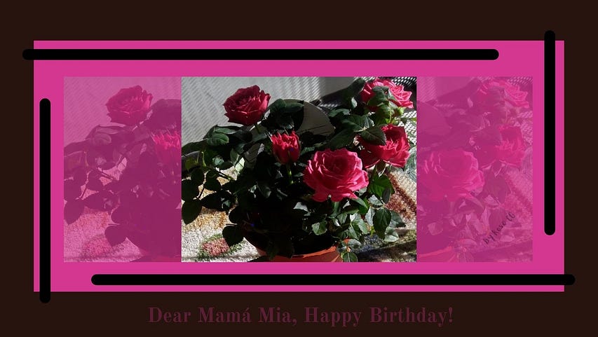 Image of red roses