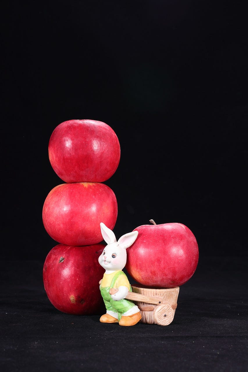 Do Wild Rabbit Eat Apple Healthy facts are you need to know.