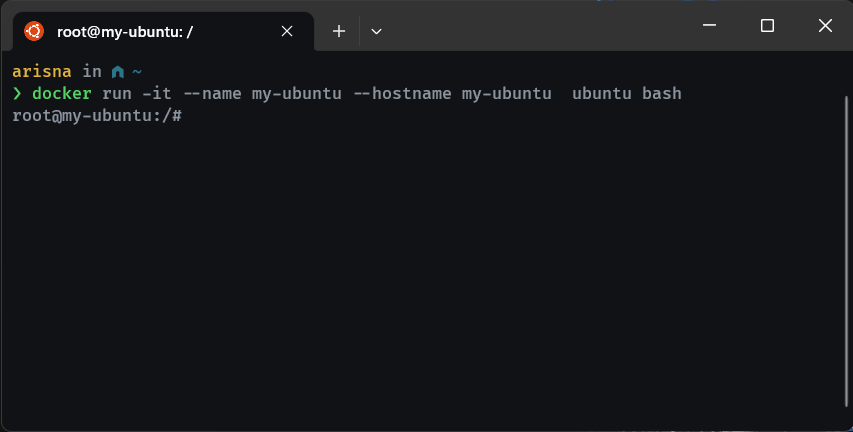 Run Ubuntu Docker container