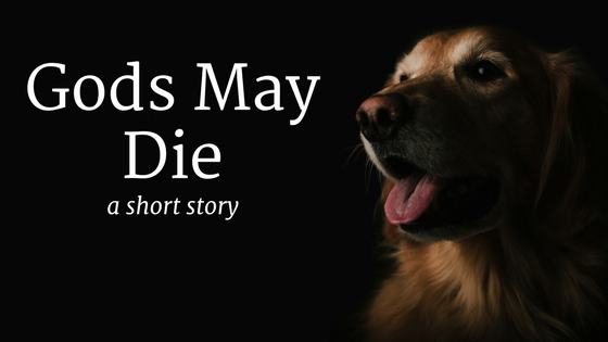 Short story from cheap a dog's perspective